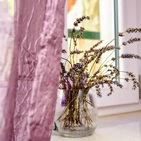 Jmj Ph Nono Tatil Evi