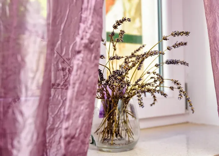 Jmj Ph Nono Holiday home